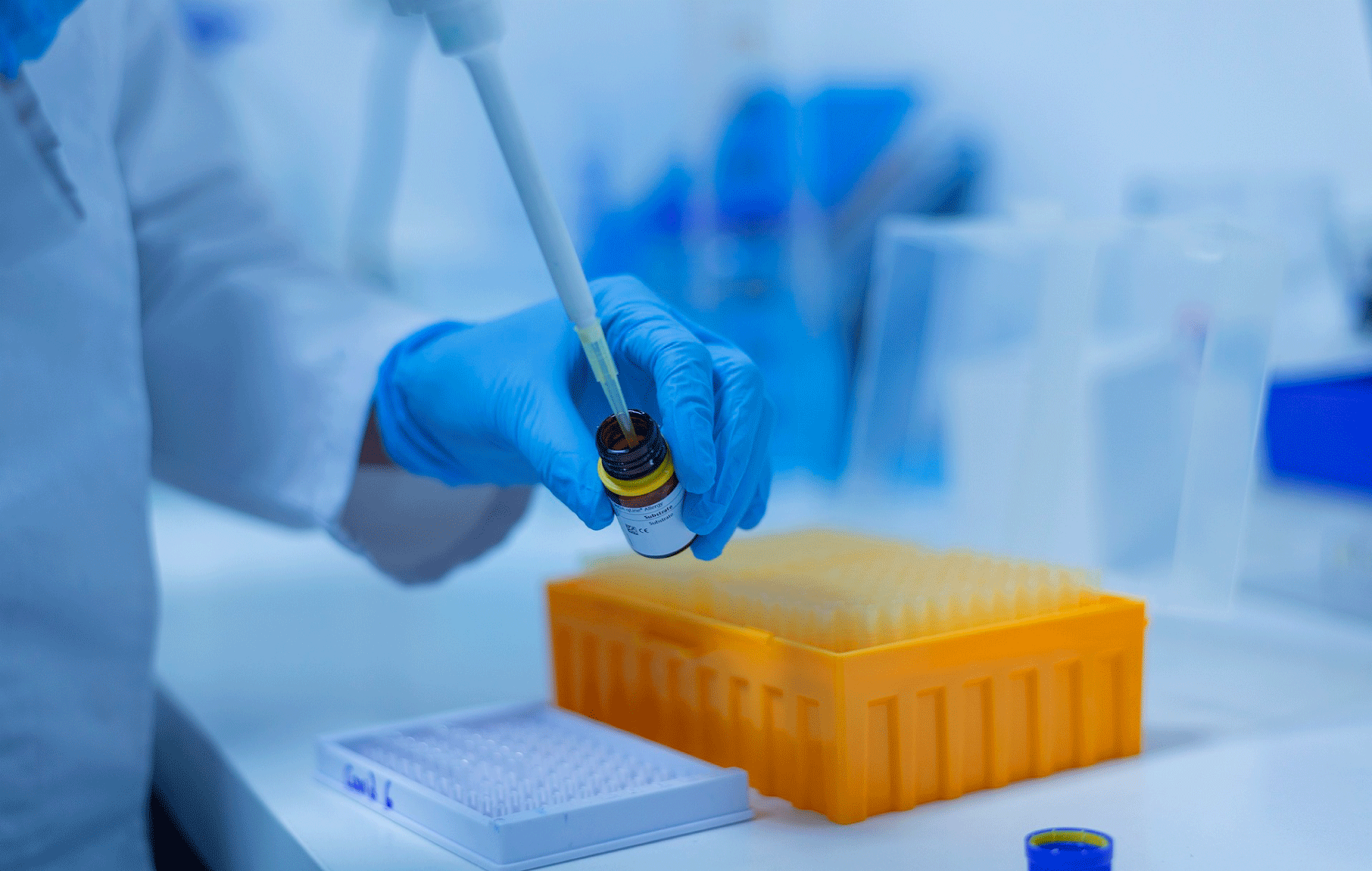 INGENIERÍA CIVIL EN BIOTECNOLOGÍA